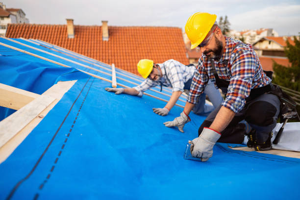 Best Metal Roofing Contractor  in Ashland, CA