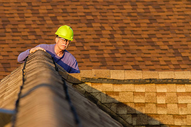 Best Roof Maintenance Services  in Ashland, CA