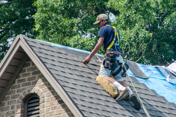 Best Roof Leak Repair  in Ashland, CA